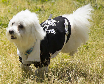 Pet Life ® 'Varsity-Barkcity' Buckled Collared Dog Coat Jacket