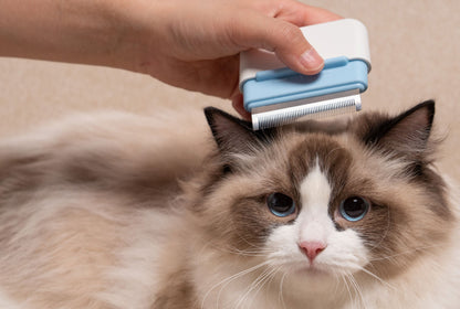 Pet Life ® 'Zipocket' 2-in-1 Underake and Stainless Steel Travel Grooming Pet Comb