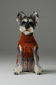 Pretzel Pet Sweater - Tofee Orange