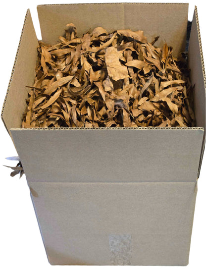 Forest Floor Leaf Litter (3 Sizes!)