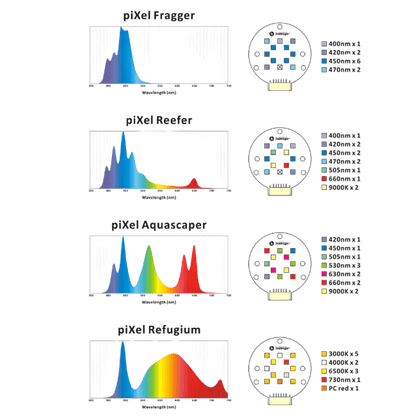 Pixel LED Bundles All Sizes