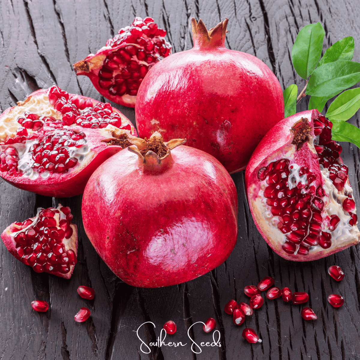 Pomegranate Seeds 20 Pack | Heirloom Punica granatum | Edible Juicy Seeds & Ornamental Flowers