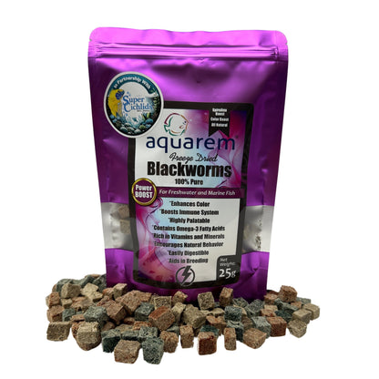 Freeze Dried Blackworms Power Boost Natural Color Boost Spirulina Cubes