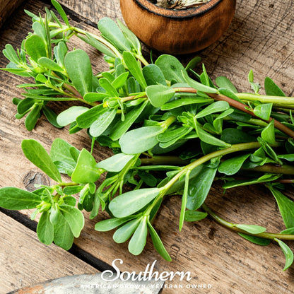Purslane – 100 Seeds