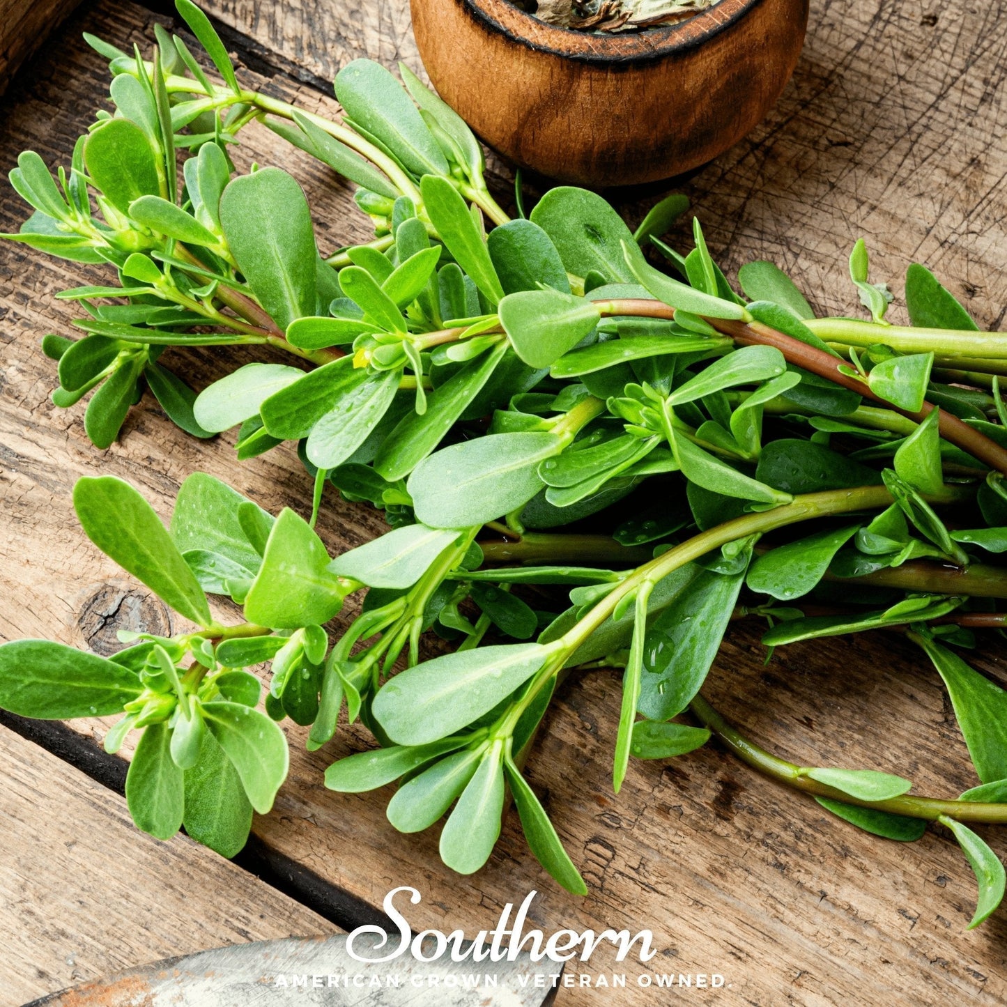 Purslane Seeds 100 Pack | Heirloom Green Portulaca oleracea | Nutritious Superfood for Salads & Stir-Fries