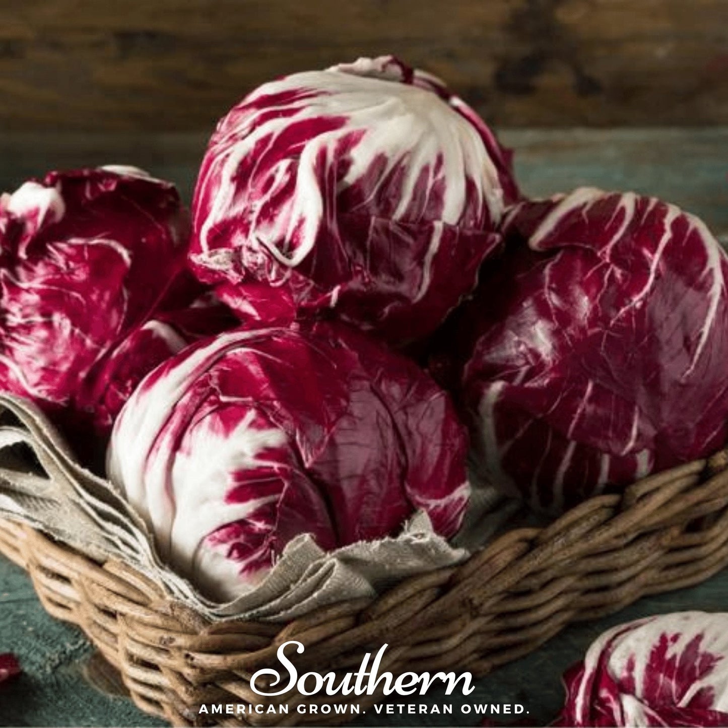Palla Rossa Radicchio Seeds – Heirloom, Open Pollinated, Deep Red Leaves, 100 Seeds, Cichorium intybus, Gourmet Salad Ingredient