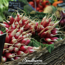 French Breakfast Radish – 250 Seeds