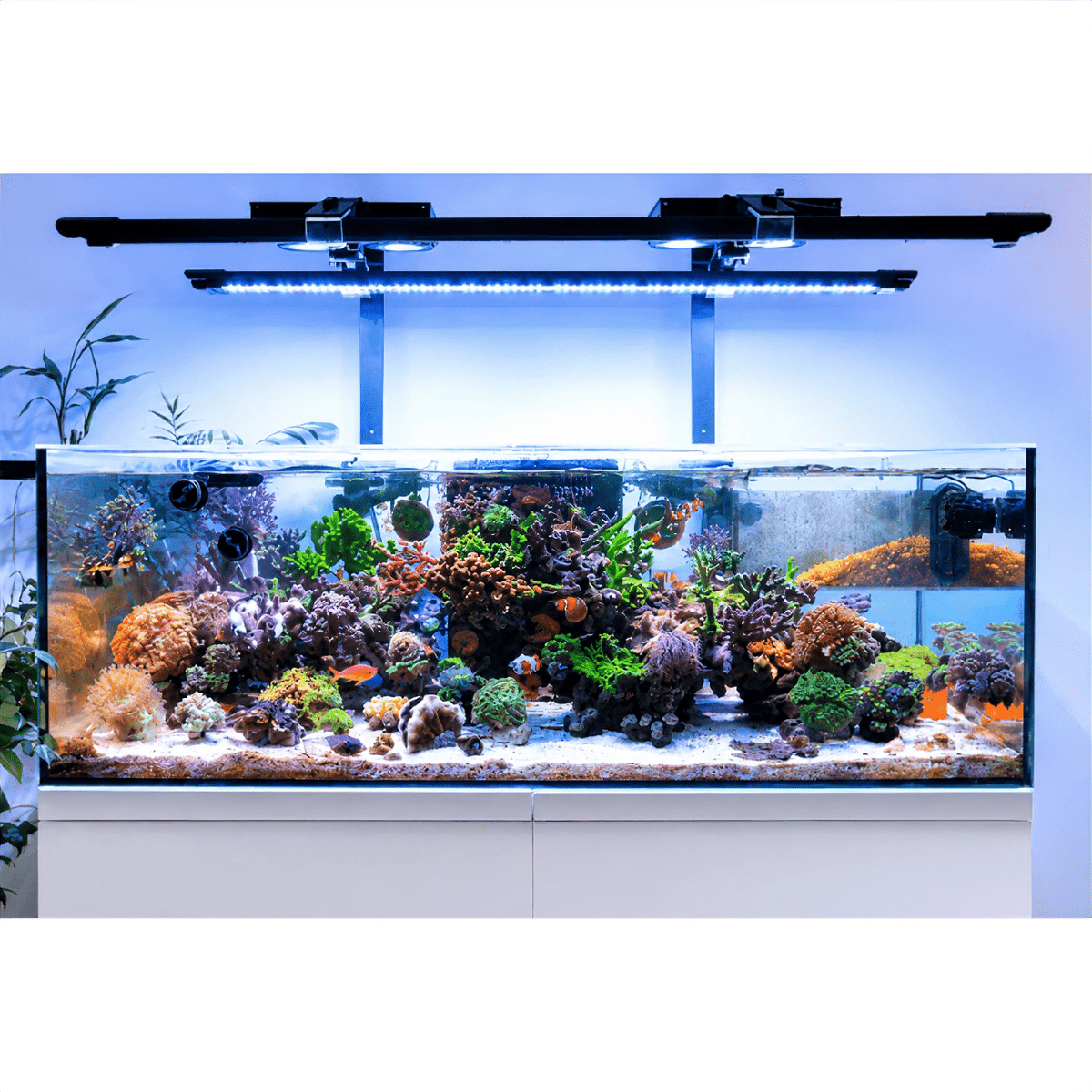X4 Beast Mode SPS Lighting Bundle All Sizes