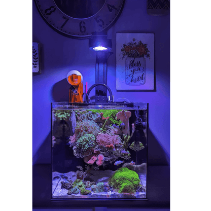 Pixel LED Bundles All Sizes