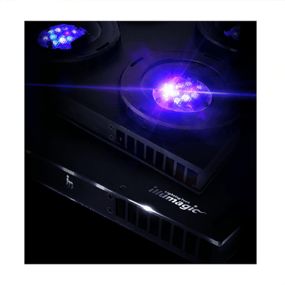 X4 Beast Mode SPS Lighting Bundle All Sizes