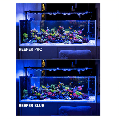X4 Beast Mode SPS Lighting Bundle All Sizes