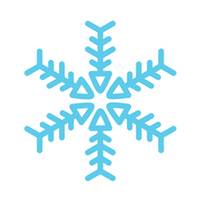 Cold Pack Shipping Add On