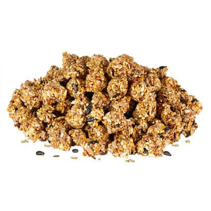 Kaytee Super Food Granola Bites Cranberry, Apple, Flax Small Animal Treat 4.5oz