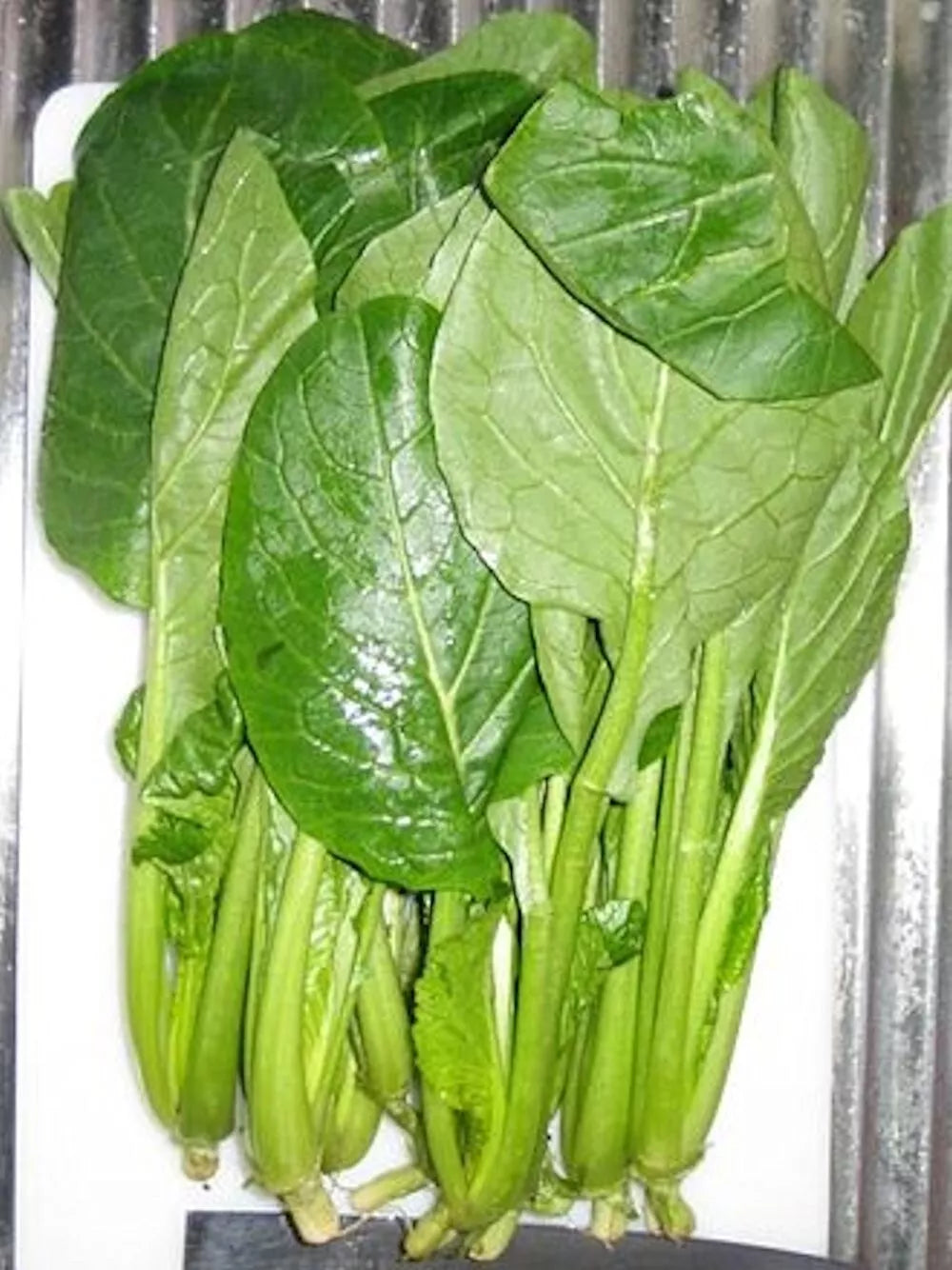 Komatsuna Seeds 2000 Count - Japanese Green Spinach Mustard Brassica rapa var. perviridis Non-GMO, Edible Leafy Greens