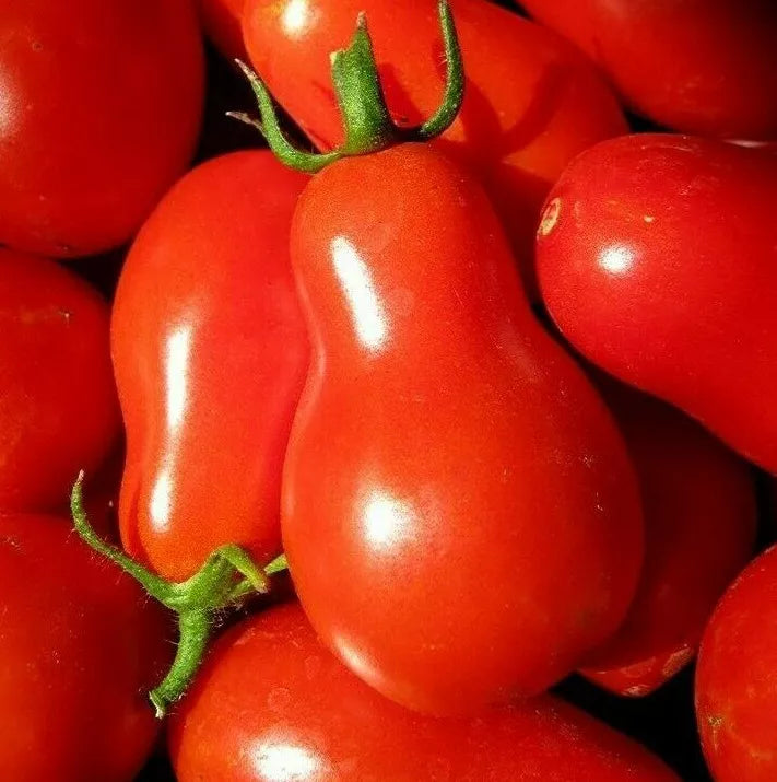 Red Pear Tomato Seeds - 100+ Non-GMO Vegetable Seeds for Salad & Sauce - Lycopersicon esculentum