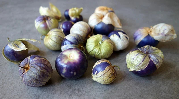 Purple Tomatillo Seeds - Heirloom Physalis ixocarpa - 20 Count Packet