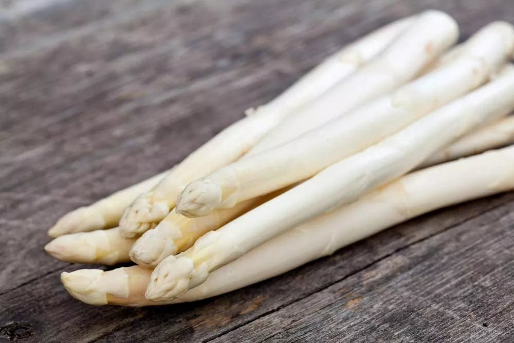 White Asparagus Seeds - 100 Count Rare Asparagus officinalis for Garden Planting