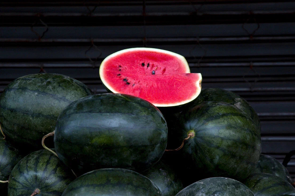 Florida Giant Black Diamond Watermelon Seeds - 10 Pack - Citrullus lanatus
