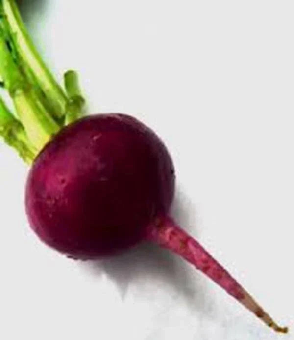 Beet Seeds 500 Count - Early Wonder Heirloom Non-GMO Beta vulgaris for Home Gardening