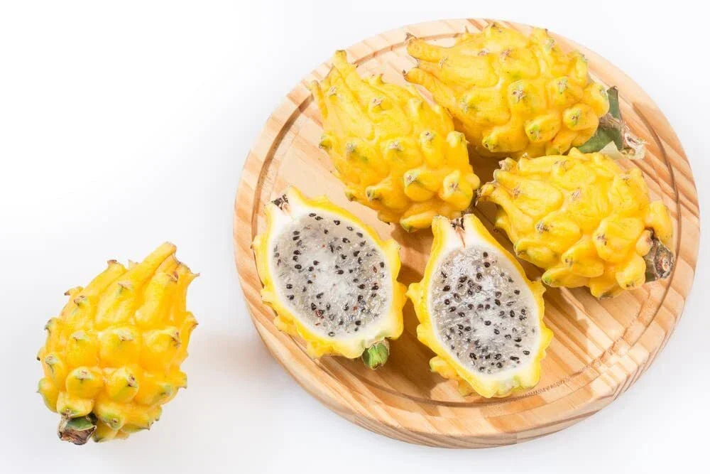 Yellow Dragon Fruit Seeds - 30 Rare Hylocereus megalanthus Seeds for Planting