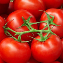 Moneymaker Tomato Seeds 50 Ct Heirloom Non-GMO Vegetable Garden Seeds (Solanum lycopersicum) USA Free Shipping