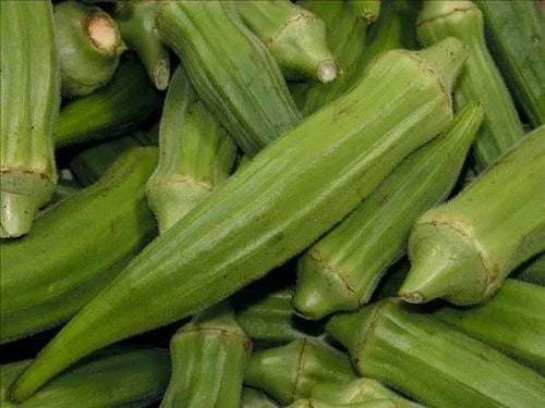 Jade Okra Seeds - Non-GMO Heirloom Abelmoschus esculentus for Organic Gardening, Tender Pods, Fast-Growing, Free Shipping