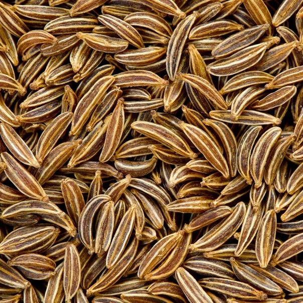Caraway Seeds - Heirloom Non-GMO Herb Seeds for Culinary Use - Carum carvi, Organic Spice Pack
