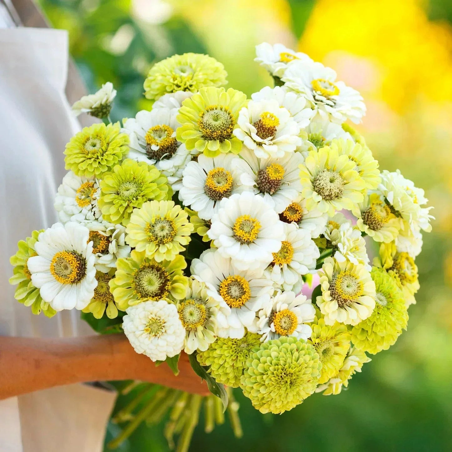 Zinnia Seeds - 100+ Fresh Mixed Varieties for Garden Planting - USA