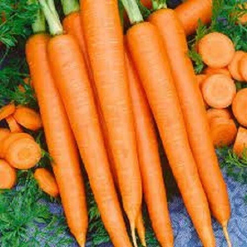 Premium Organic Tendersweet Carrot Seeds - Heirloom Daucus carota Subsp. sativus, Sweet, Tender, Crunchy, Non-GMO Seed Packet