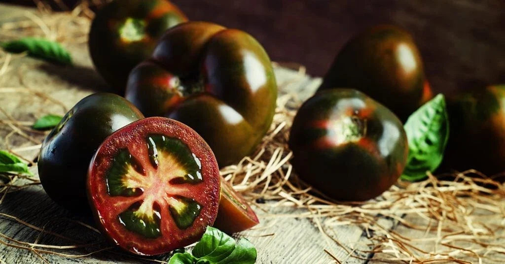 Black Truffle Tomato Seeds - Heirloom Organic Non-GMO Solanum lycopersicum, 120+ Seeds for Garden or Containers