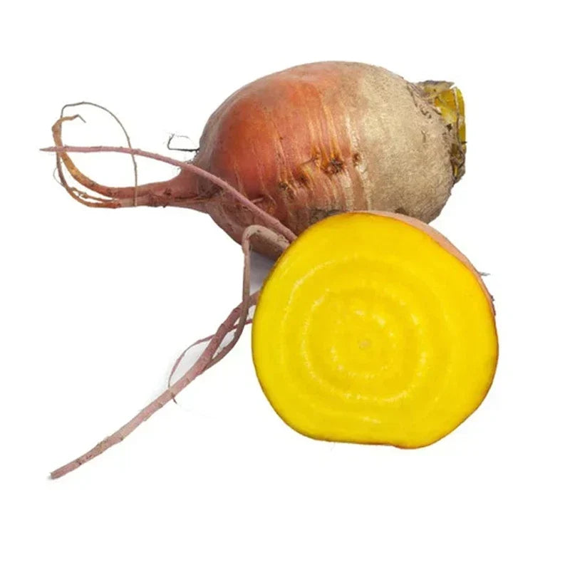 Golden Beet Seeds – Heirloom Non-GMO Beta vulgaris var. alba Vegetable Seeds, Pack of 100