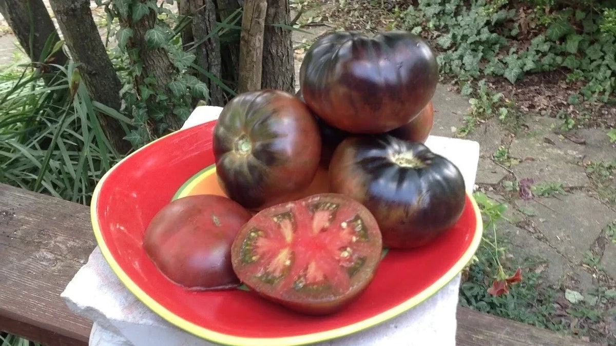 Black Beauty Tomato Seeds - Organic Heirloom, Dark Purple-Black, Solanum lycopersicum, Non-GMO, Heirloom Gardening Seeds