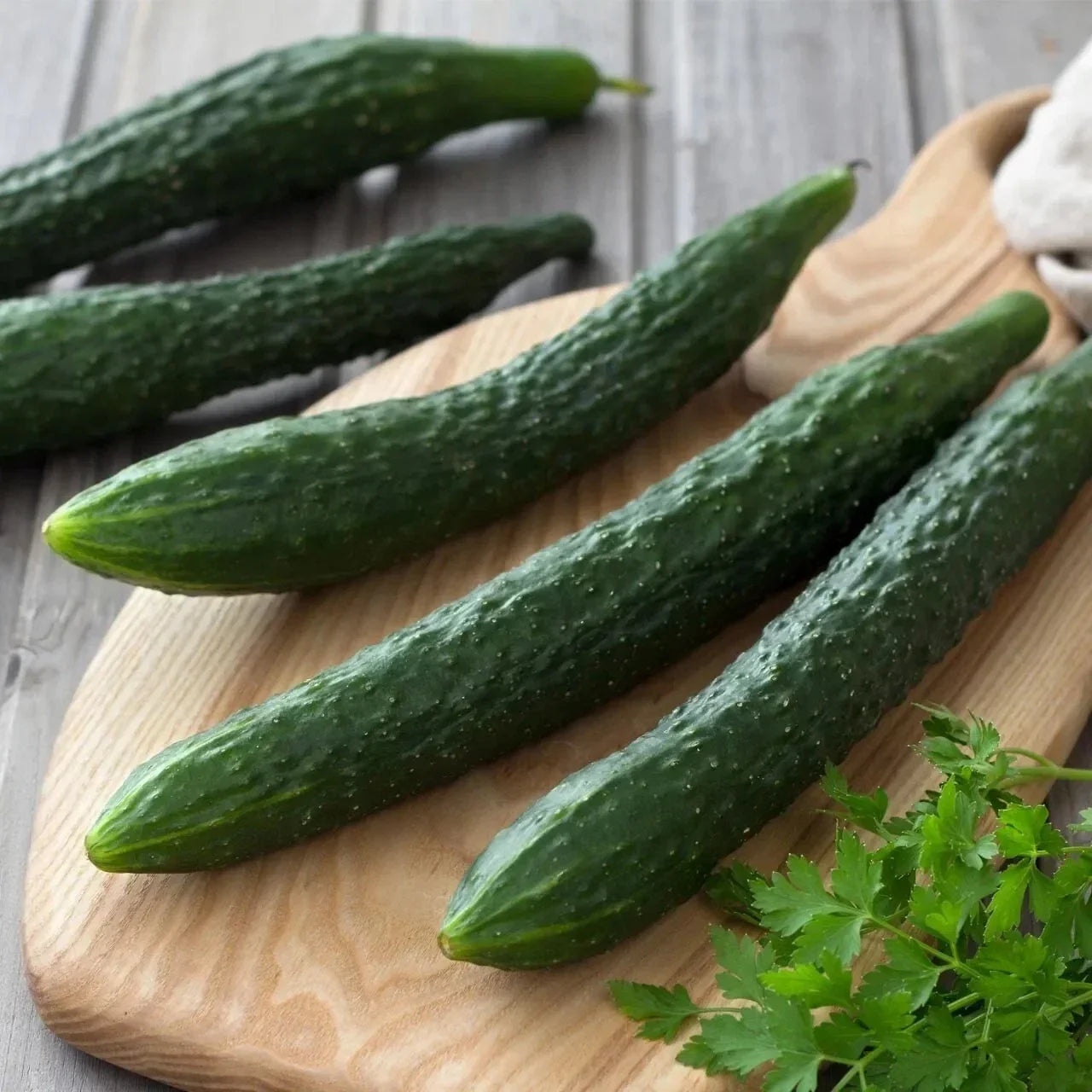 Suyo Long Cucumber Seeds - Organic Heirloom Non-GMO Cucumis sativus, Long, Crunchy, Perfect for Salads & Pickling, 50+ Seeds