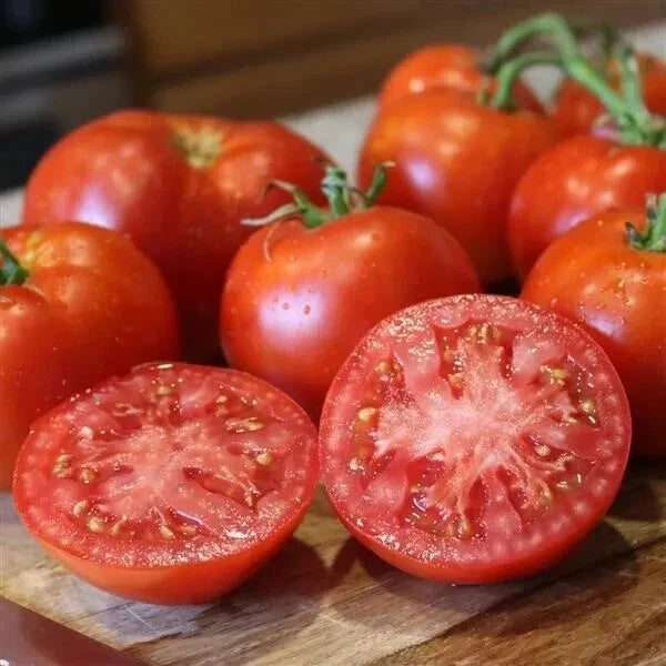 Better Boy Tomato Seeds - 50 Count Pack, Heirloom Solanum lycopersicum, Juicy Large Tomatoes, USA Grown, Garden Vegetable Seeds