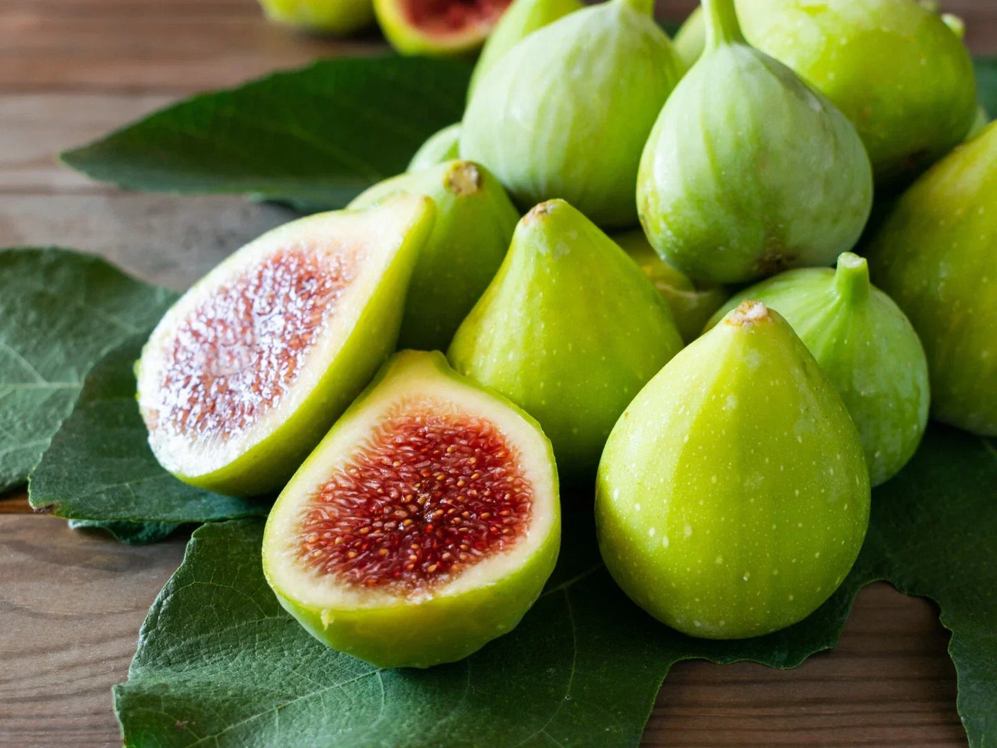 Green Ischia Fig Cuttings - 2 Pack with Willow Water for Rooting - Ficus carica - Indoor & Outdoor Gardening