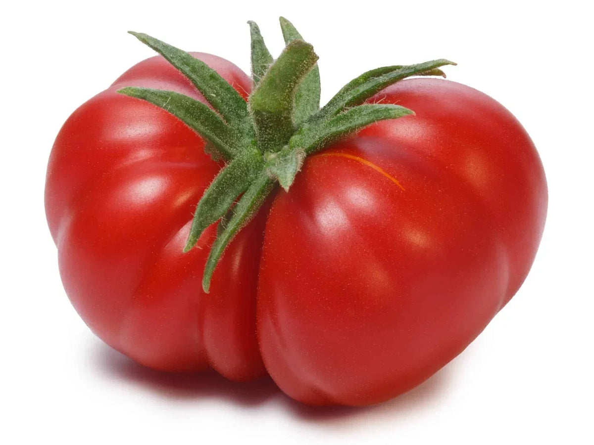 Beefsteak Tomato Seeds - Organic Non-GMO Heirloom, Large Juicy Tomatoes, Solanum lycopersicum, 120+ Pack