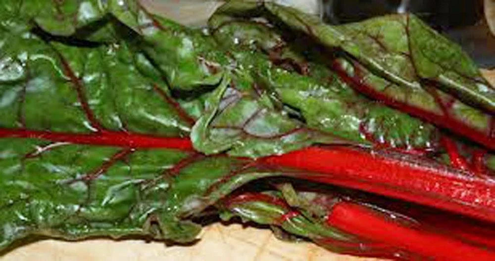 Heirloom Rhubarb and Swiss Chard Seeds Pack – Non-GMO Organic Gardening, 1000 Seeds for Home Garden, Pot, Raised Bed