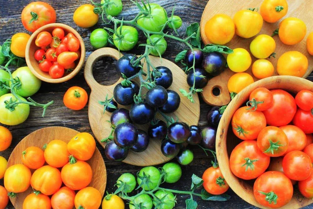 Black Cherry Tomato Seeds - Midnight Snack Variety - 100+ Seeds - Solanum lycopersicum