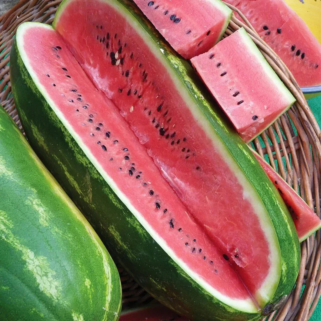 Jubilee Watermelon Seeds - 50+ Non-GMO USA Grown Citrullus lanatus for Garden Planting