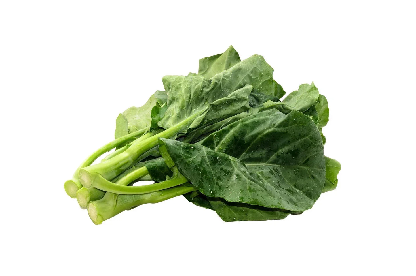 Gai Lan Seeds - Heirloom Asian Chinese Broccoli Kale - Non-GMO Vegetable Seeds for Gardening