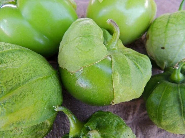 Tomatillo Seeds - Organic Heirloom Toma Verde - Non-GMO, High Germination - Physalis ixocarpa, Green Fruit, Salsas & Cooking