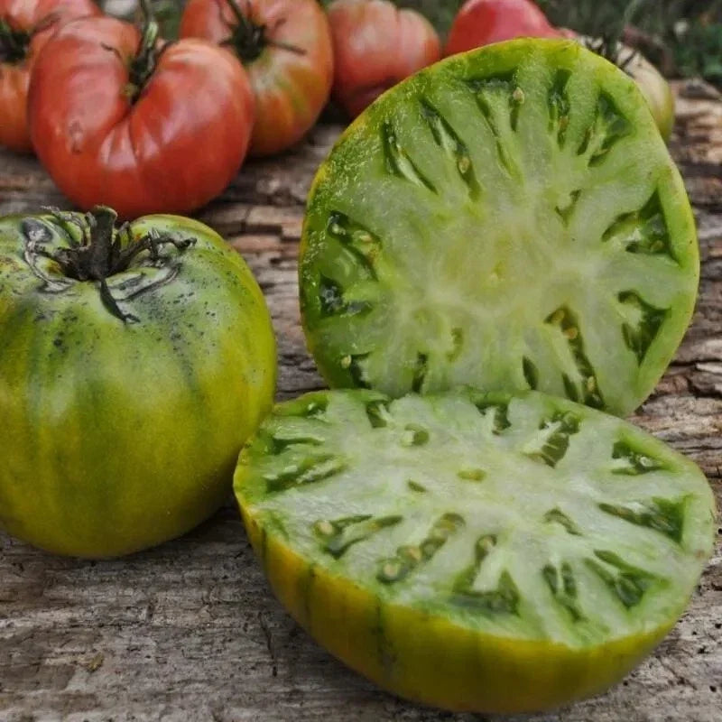 Cherokee Green Tomato Seeds - Organic Non-GMO Heirloom, Rare Solanum lycopersicum, Home Garden, Container Planting, Bountiful Harvest