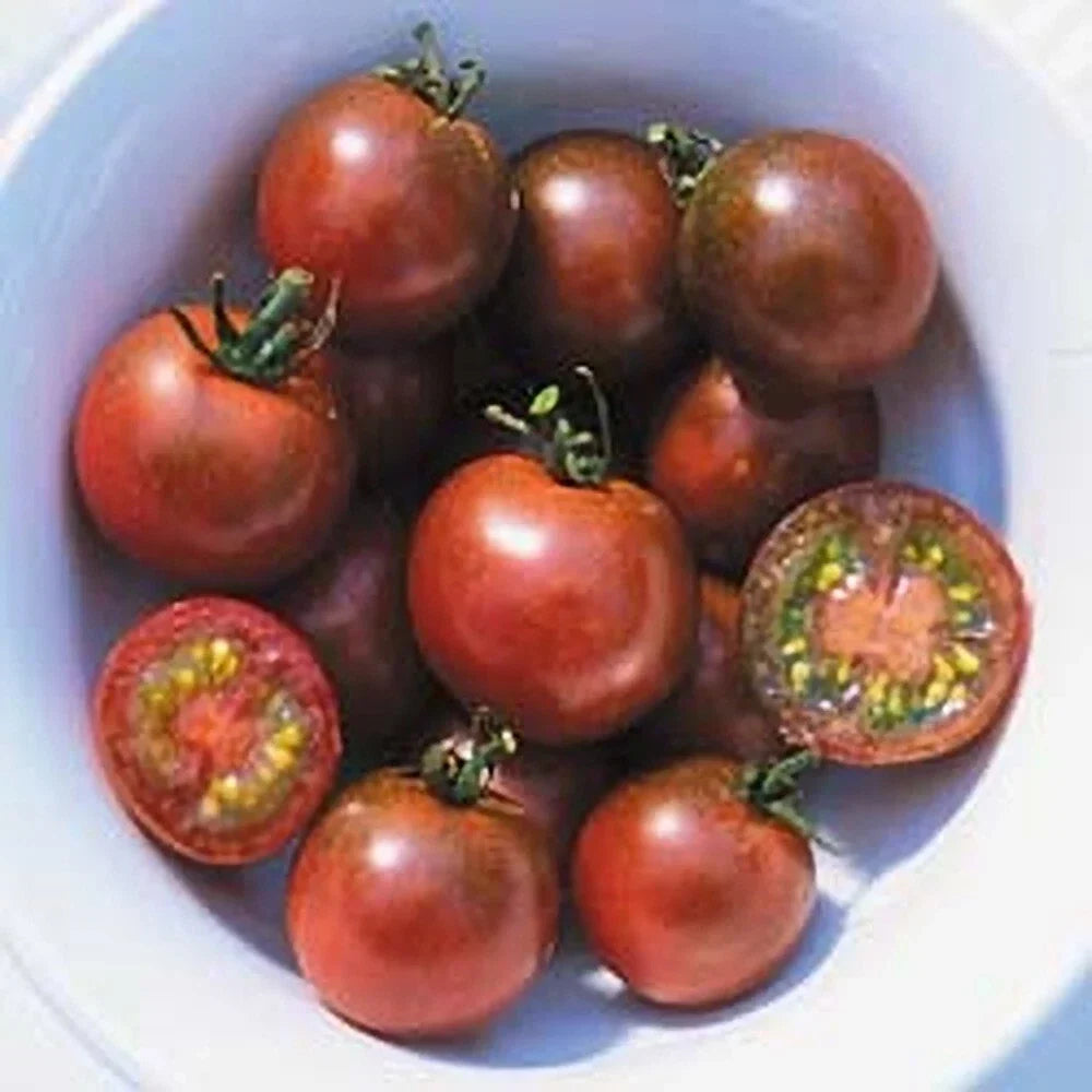 Brown Berry Tomato Seeds - Heirloom Organic Non-GMO Solanum lycopersicum, 120+ Seeds for Home Garden & Container Planting