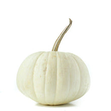 White Pumpkin Seeds - 25+ Count - Ghost Variety - Cucurbita pepo - Ideal for Garden Planting - USA Grown