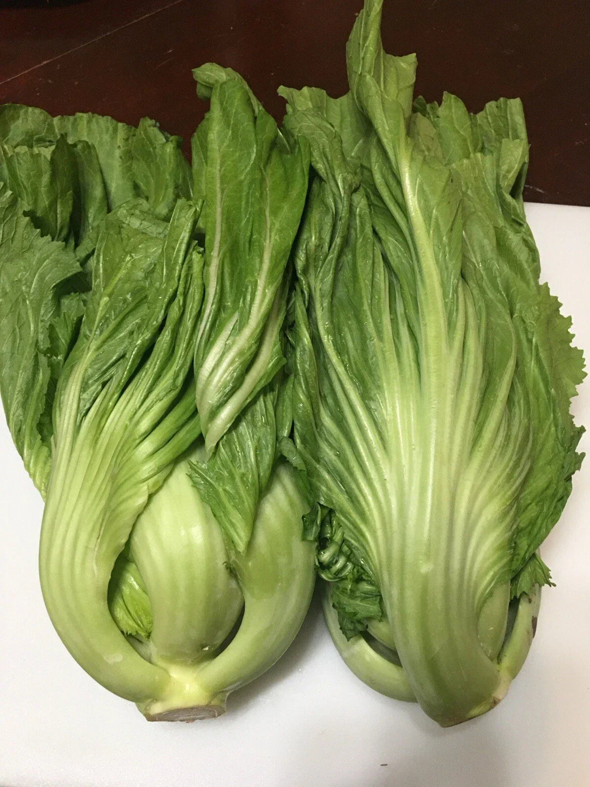 Chinese Mustard Seeds 200+ | Shuidong Gai Choi Shealihong | Non-GMO Brassica juncea