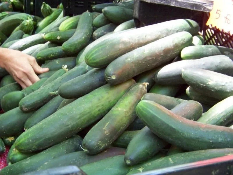 Heirloom Organic Cucumber Seeds - 100+ Straight Eight Cucumis sativus Non-GMO Garden Seeds