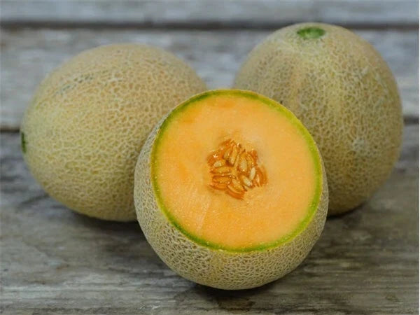 Jumbo Cantaloupe Seeds Pack of 50+ Non-GMO Muskmelon Fruit Cucumis melo for Home Garden, Summer Harvest, Free Shipping
