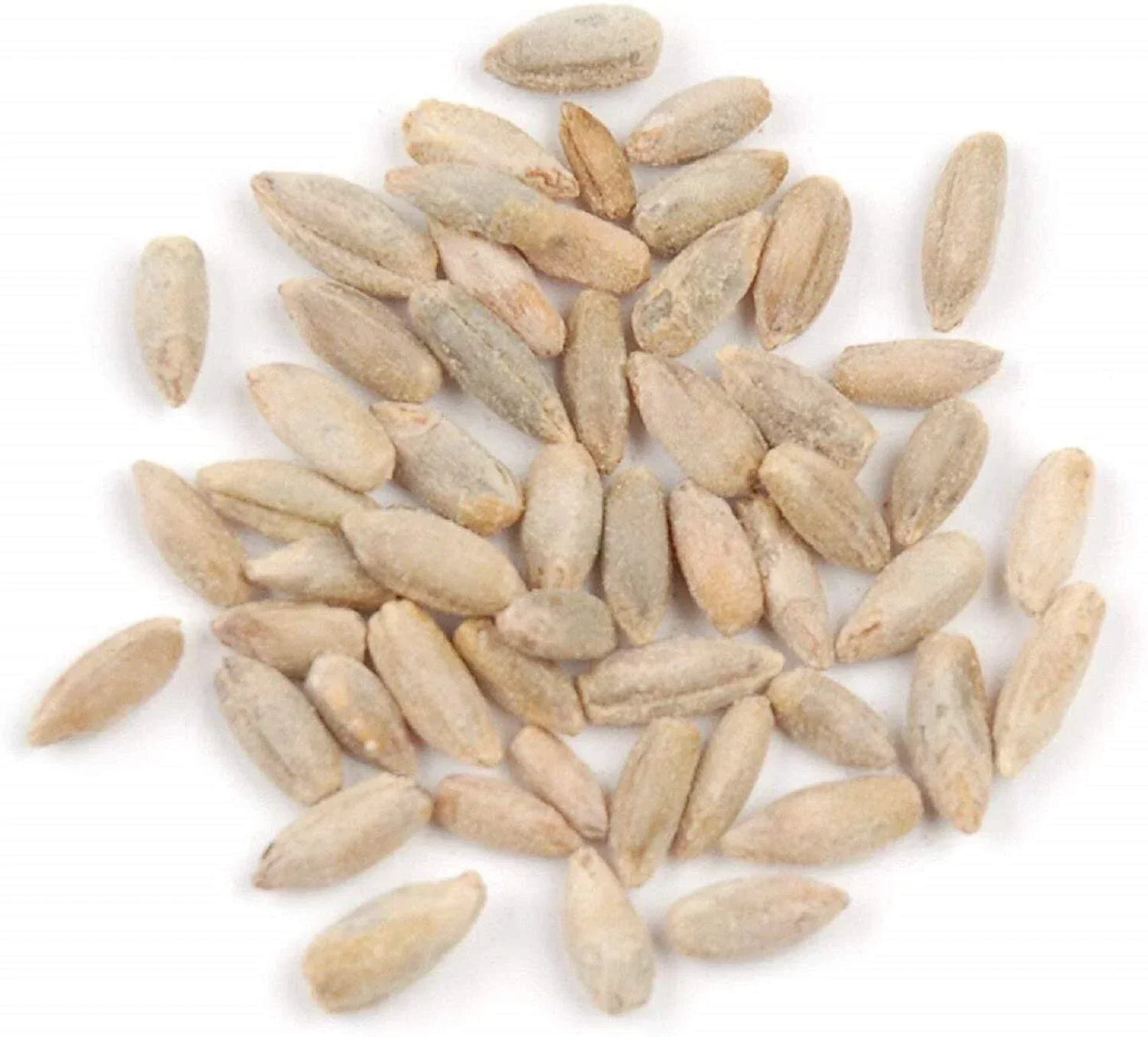 Rye Berries 8 OZ Bag | High Fiber & Iron Whole Grain | Secale cereale