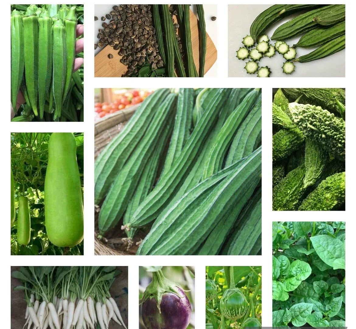 Asian Vegetable Seeds Bundle - 10 Non-GMO Heirloom Varieties for Home Gardening