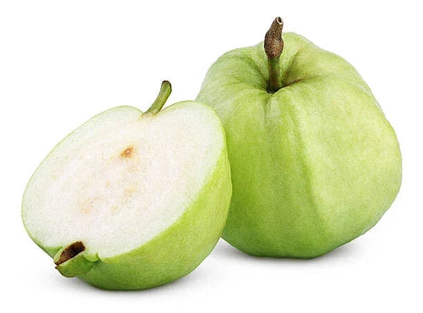 Apple Guava Seeds - 50 Pack - Psidium guajava - Tropical Fruit for Garden Planting USA